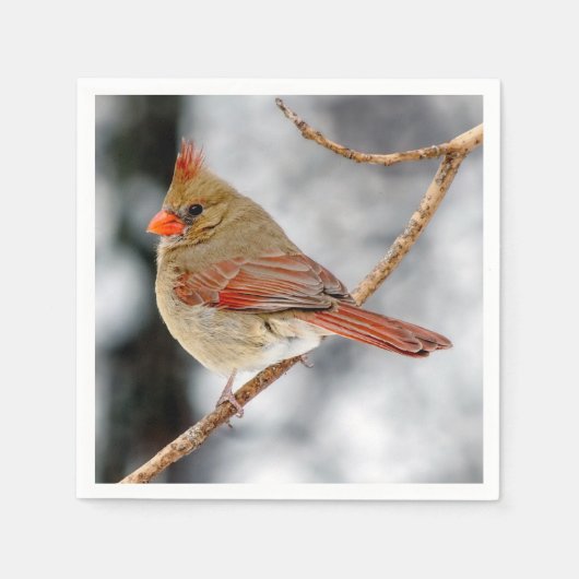 Serviette En Papier Papier cardinal du nord féminin Napkin (Devant)