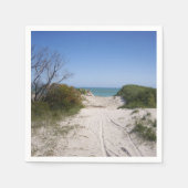 Serviette En Papier Papier Cervantes WA (Devant)