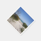 Serviette En Papier Papier Cervantes WA (Coin)