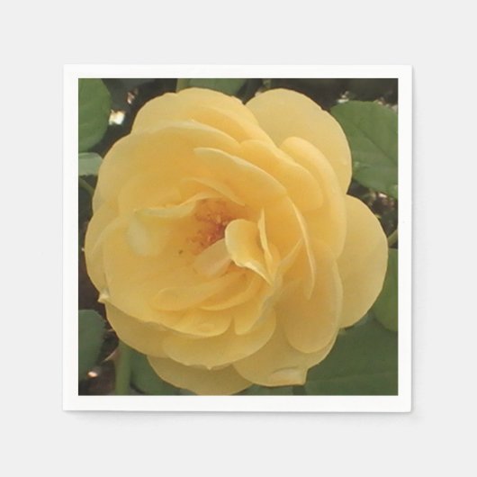 Serviette En Papier Papier de camélia jaune (Devant)