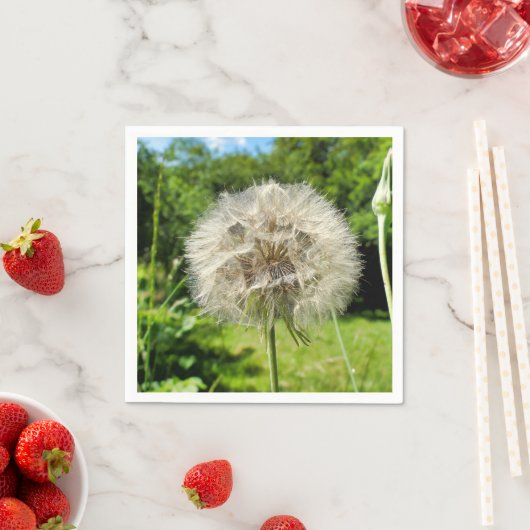 Serviette En Papier Papier Fleur sauvage de barbe à chèvre (En situation)