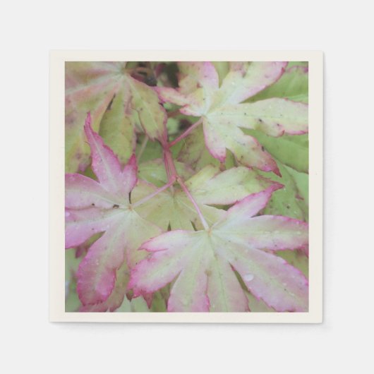 Serviette En Papier Papier ivoy (Devant)