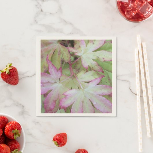 Serviette En Papier Papier ivoy (En situation)