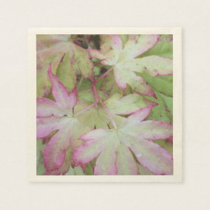 Serviette En Papier Papier ivoy