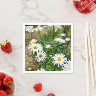Serviette En Papier Papier Leucanthemum Blooms