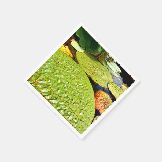 Serviette En Papier Papier Lily Pads (Coin)