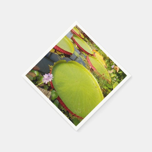 Serviette En Papier Papier Lily Pads (Coin)