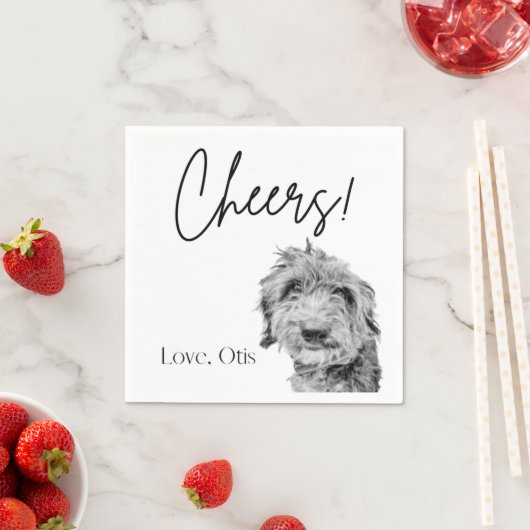 Serviette En Papier Papier Napkin (En situation)