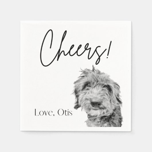 Serviette En Papier Papier Napkin (Devant)