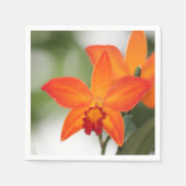 Serviette En Papier Papier Orange Tropical Napkin (Devant)