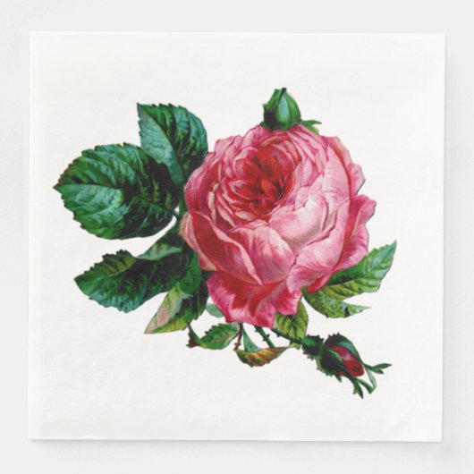 Serviette En Papier Papier Rose de chou (Devant)
