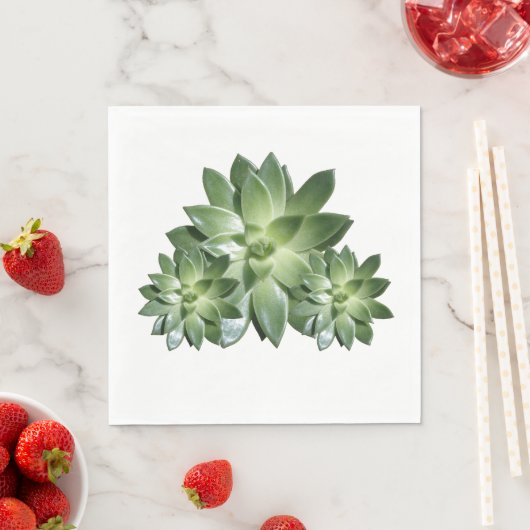 Serviette En Papier Papier simple Succulent (En situation)