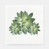 Serviette En Papier Papier simple Succulent (Devant)