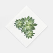 Serviette En Papier Papier simple Succulent (Coin)