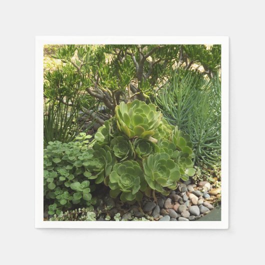 Serviette En Papier Papier Succulent Napkin (Devant)