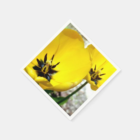 Serviette En Papier Papier Tulipe Jaune (Coin)