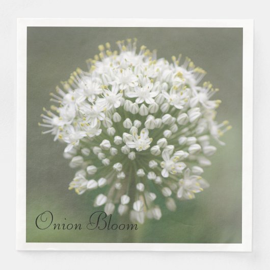 Serviette En Papier Papier vert d'olive (Devant)