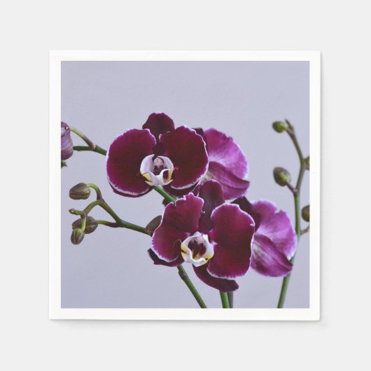Serviette En Papier Papier violet orchidée Napkin (Devant)