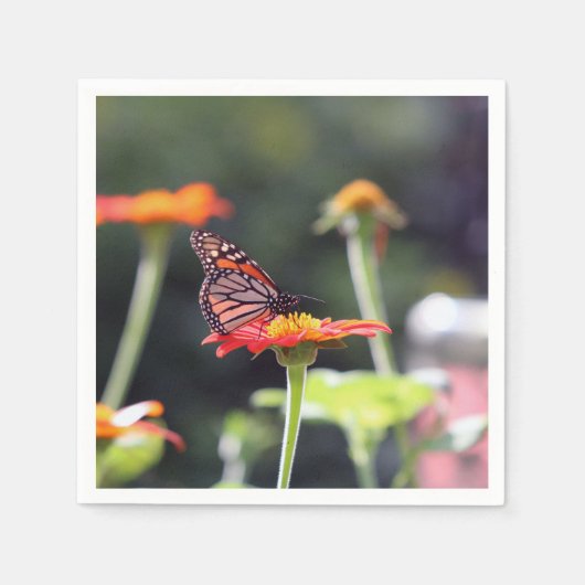 Serviette En Papier Papillon (Devant)