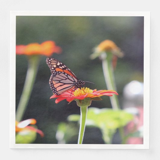 Serviette En Papier Papillon (Devant)