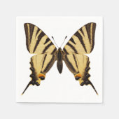 Serviette En Papier Papillon à queue épaisse isolée (Devant)