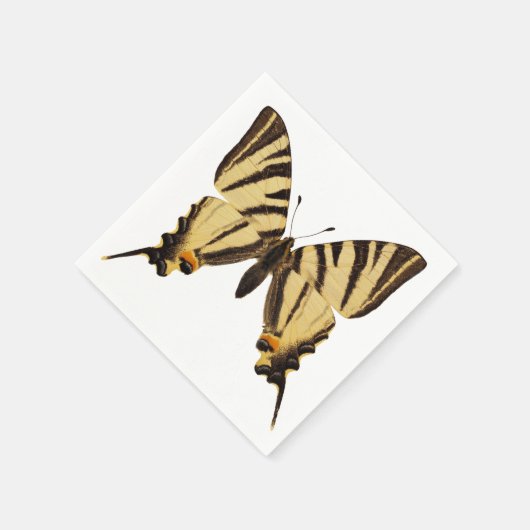 Serviette En Papier Papillon à queue épaisse isolée (Coin)