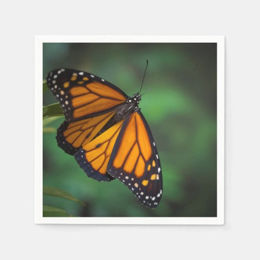 Serviette En Papier Papillon monarque (Devant)