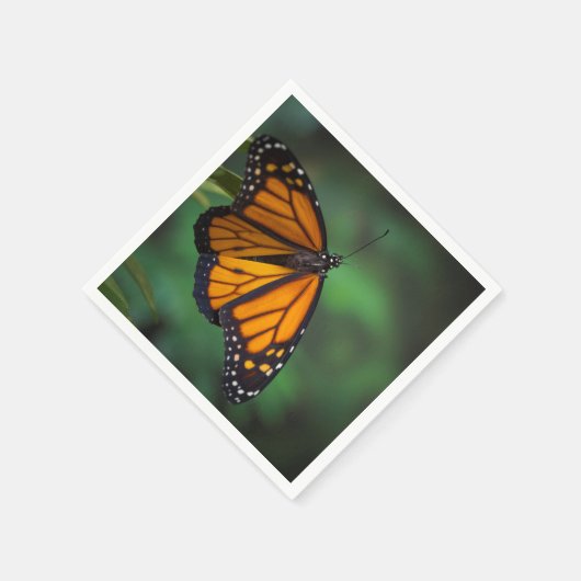 Serviette En Papier Papillon monarque (Coin)
