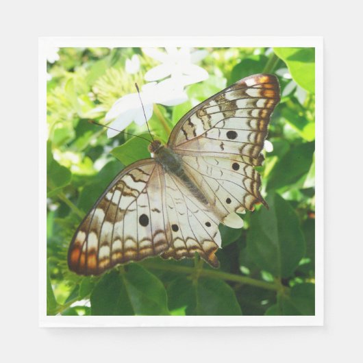 Serviette En Papier Papillon sur Jasmine Tropical Nature Photographie (Devant)