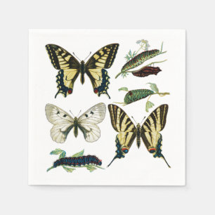 Serviette En Papier Papillons à queue épaisse, chenilles et papillons