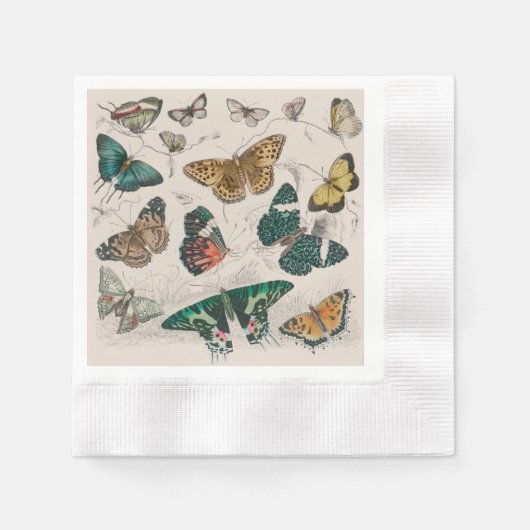 Serviette En Papier Papillons Collection Antique Papillons (Devant)