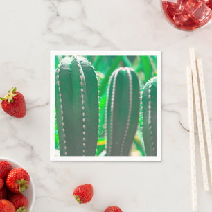 Serviette En Papier Pastel Green cactus plante pastel feuille