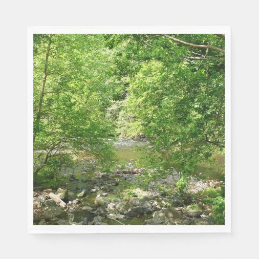 Serviette En Papier Patapsco River View Maryland Nature Photographie (Devant)