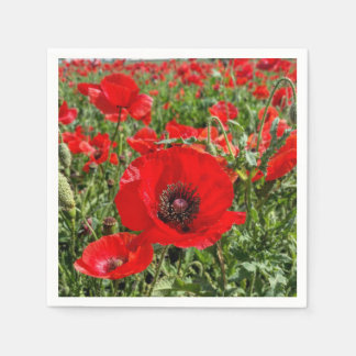 Serviette En Papier Pavot de Flandre