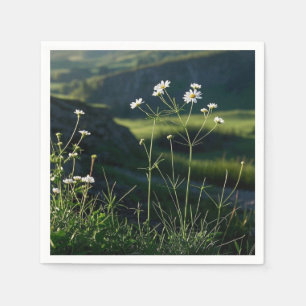 Serviette En Papier Paysage Naturel Fleur Blanche Marguerite