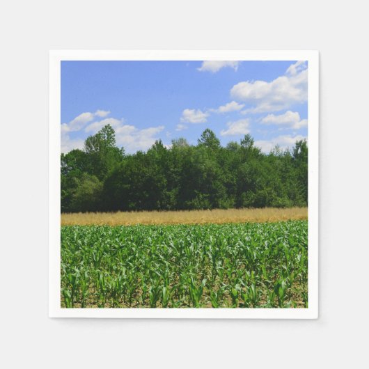Serviette En Papier Paysage rural d'un champ de maïs & blé & ciel bleu (Devant)