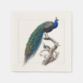 Serviette En Papier Peacock Elegant Natural History Papier Napkins (Devant)