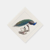 Serviette En Papier Peacock Elegant Natural History Papier Napkins (Coin)