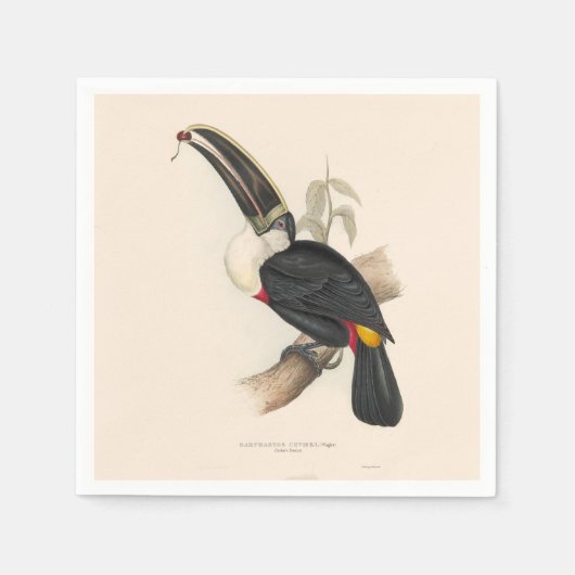 Serviette En Papier Peinture animalière d'antiquités Toucans (Devant)