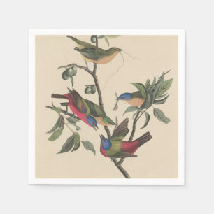 Serviette En Papier Peinture de faune de Bruant varié vibrant d'Audubo