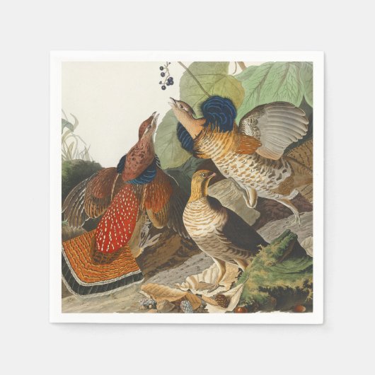 Serviette En Papier Peinture de la faune Audubon du Groupement rouillé (Devant)