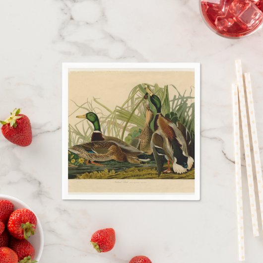 Serviette En Papier Peinture d'oiseaux de Mallard Duck Audubon (En situation)