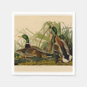 Serviette En Papier Peinture d'oiseaux de Mallard Duck Audubon