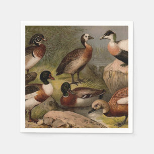 Serviette En Papier Peinture vintage colorée de canards