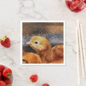Serviette En Papier Pep (En situation)