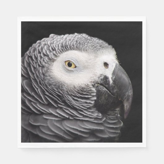 Serviette En Papier Perroquet Gris Africain (Devant)