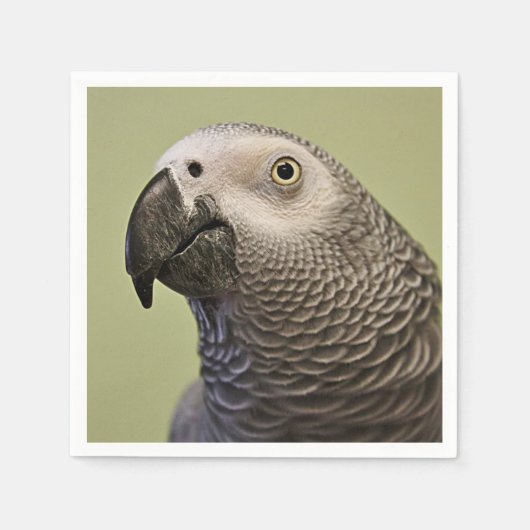 Serviette En Papier Perroquet gris africain Congo élégant (Devant)