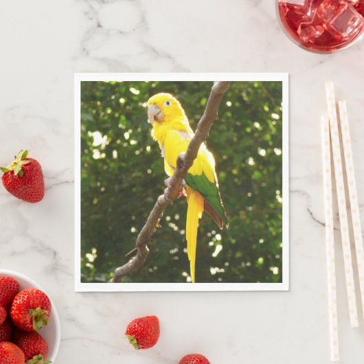 Serviette En Papier Perroquet jaune (En situation)