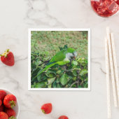 Serviette En Papier Perroquet vert (En situation)