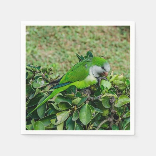 Serviette En Papier Perroquet vert (Devant)